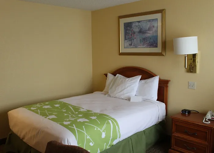 Guest Hotel