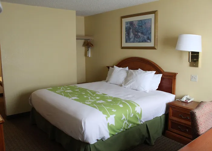 Guest Hotel