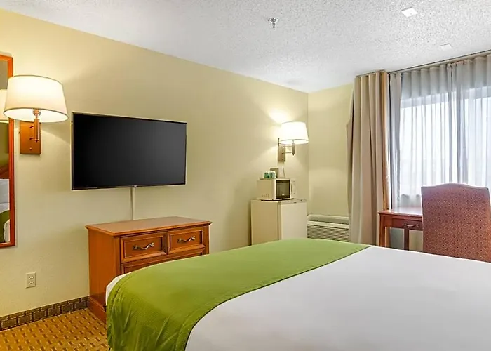 Guest 2* Cheyenne