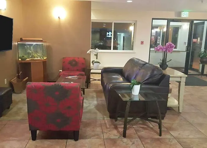Guest