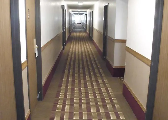 Guest